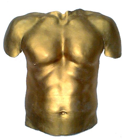 torsolee72TRANS_copy